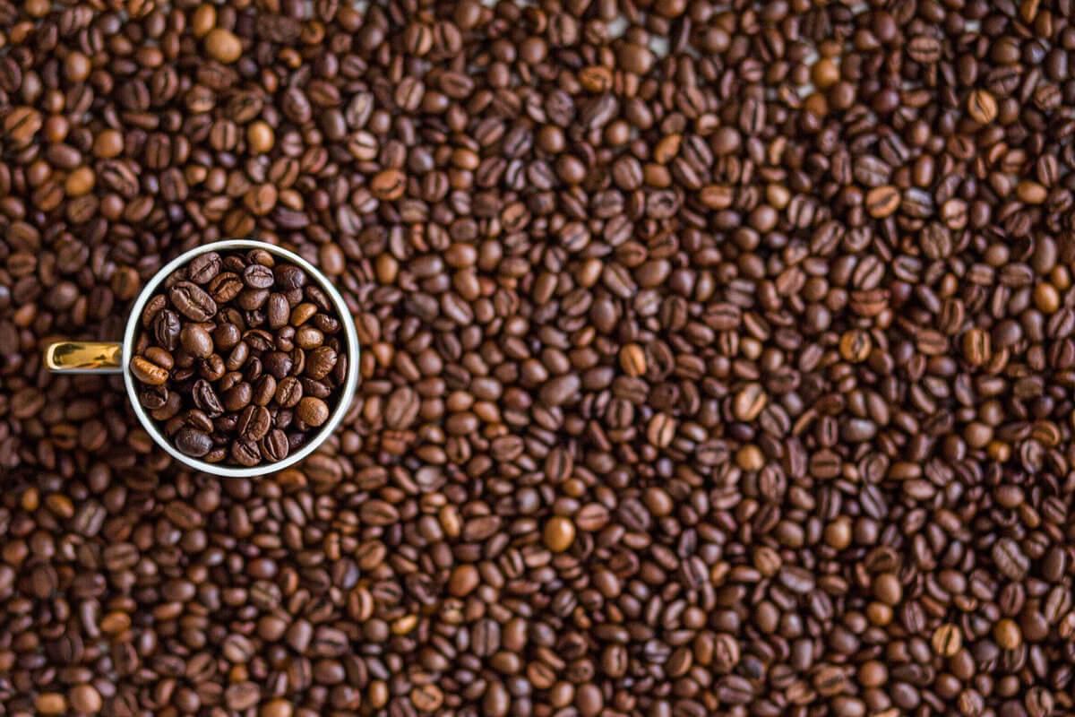 Arabica i Robusta – czym się różnią gatunki kaw?